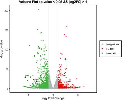 A Novel Role of IL13Rα2 in the Pathogenesis of Proliferative Vitreoretinopathy